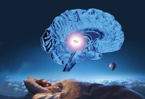 معرفی کتاب خواب – بیداری و نگین صنوبری مغز